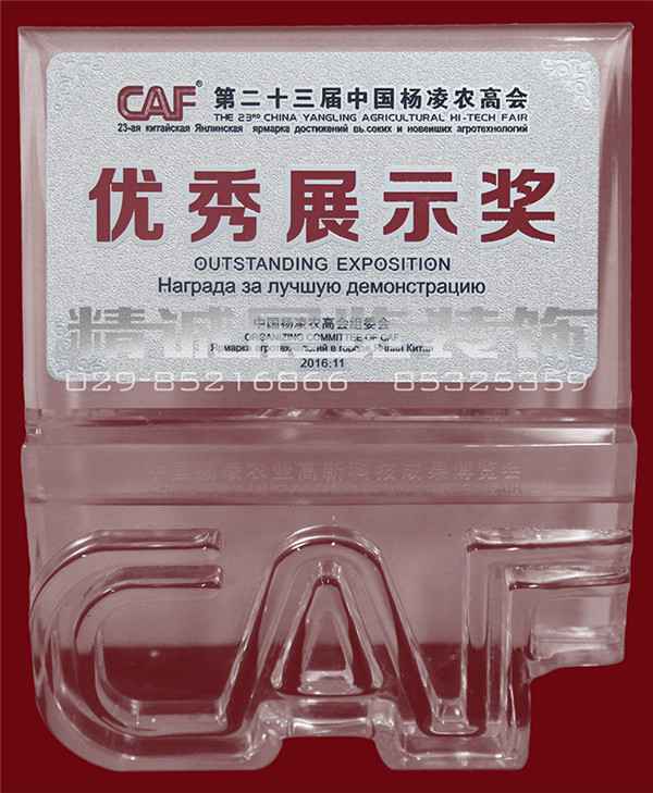 第23屆楊凌農高會“優秀展示獎”（獎牌）16年