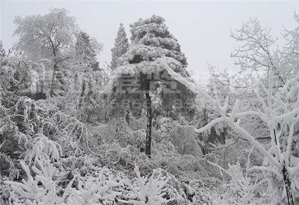 咸陽(yáng)博物館設(shè)計(jì)公司