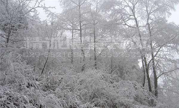 寶雞博物館設(shè)計(jì)