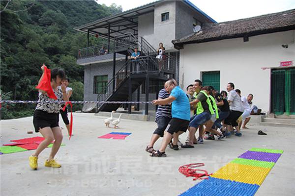 甘肅博物館設(shè)計(jì)公司