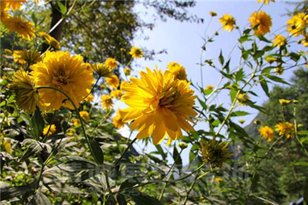 蘭州博物館設(shè)計(jì)策劃