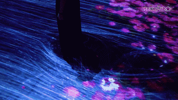 花與瀑布的沉浸式世界 花與瀑布的沉浸式世界