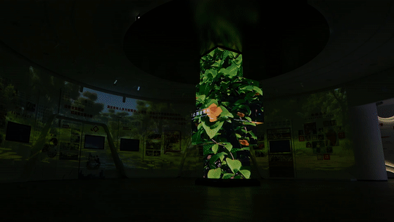 幸福主題展館設計-渭南富平幸福之路展示館 幸福主題展館設計-渭南富平幸福之路展示館